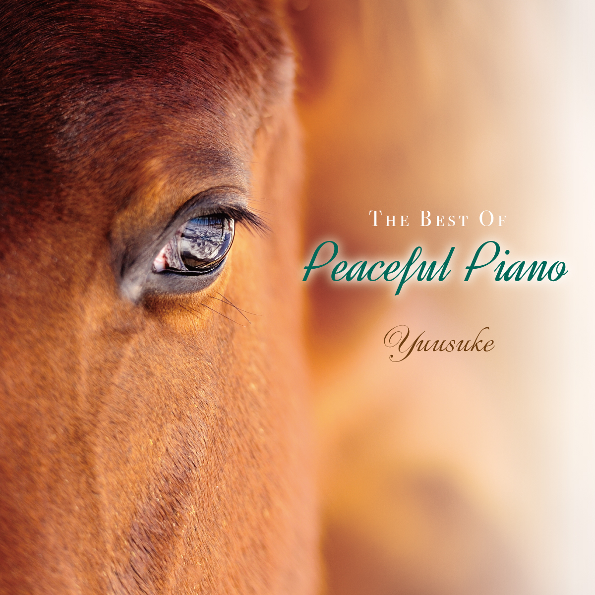 The Best of Peaceful Piano