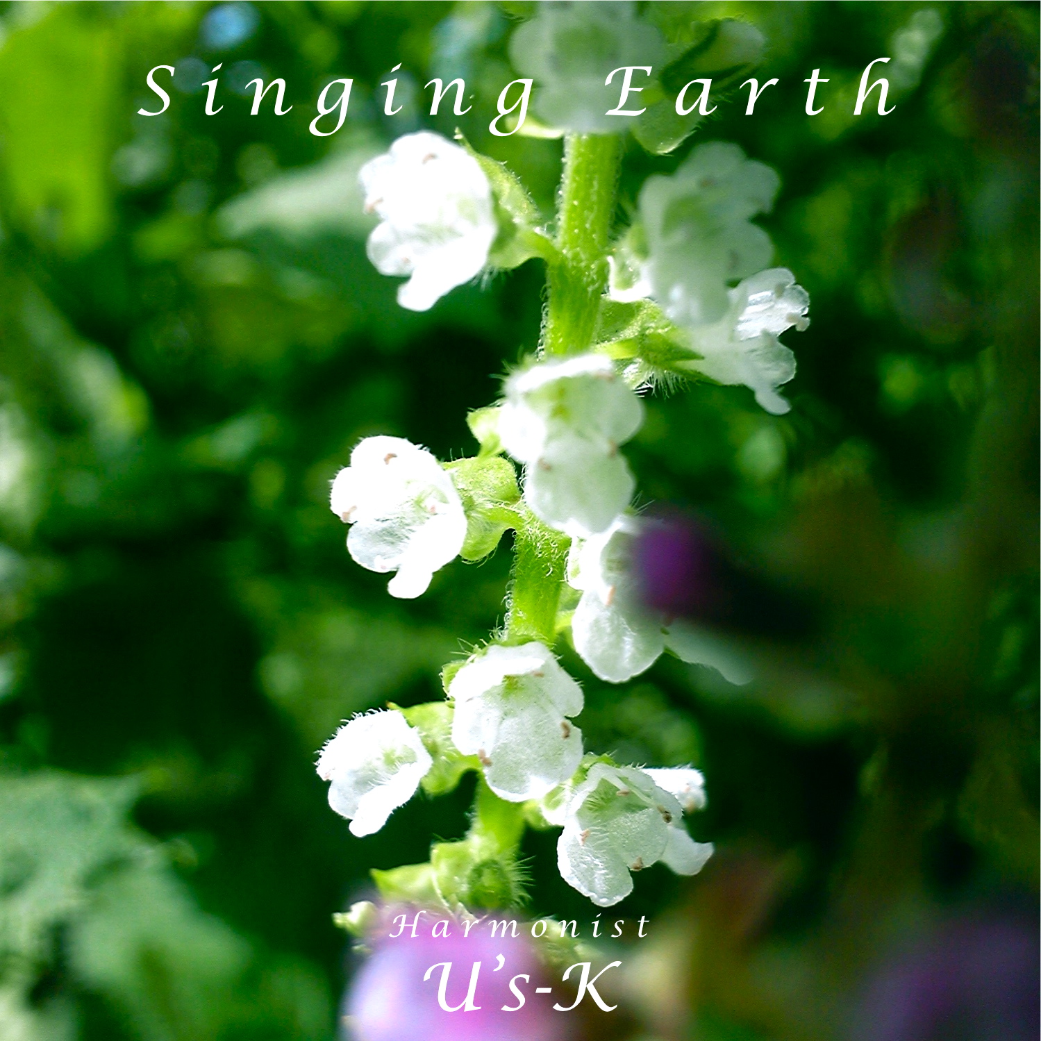 Singing Earth