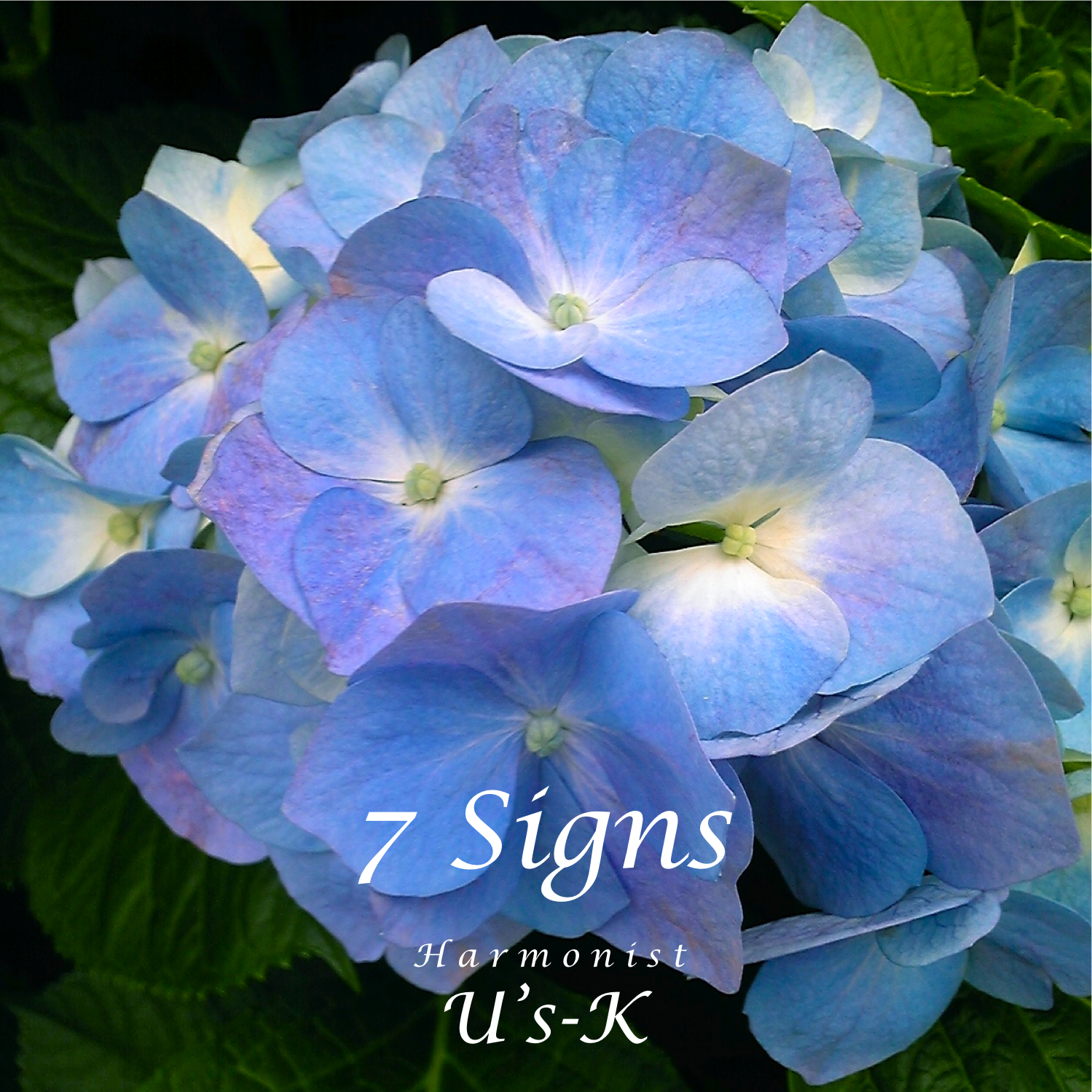 7 Signs