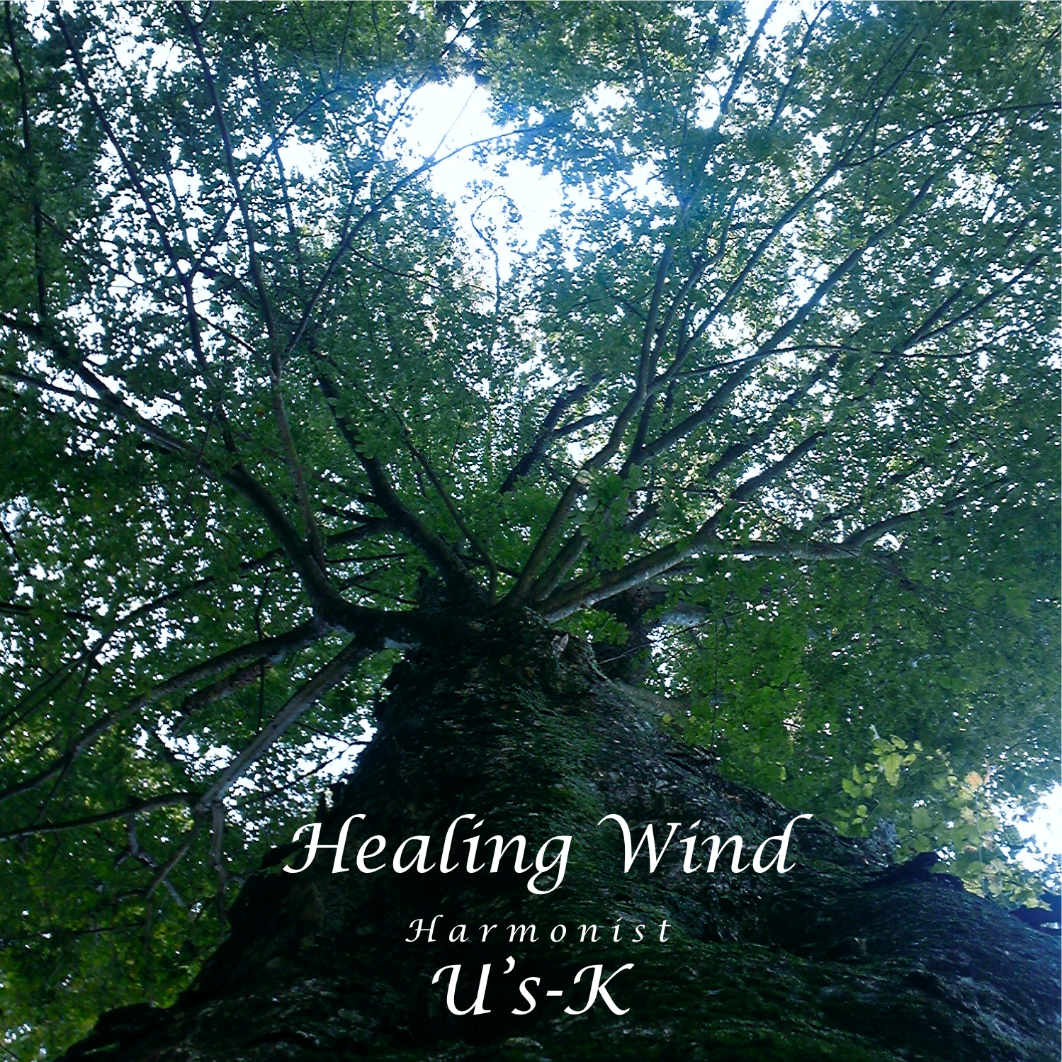 Healing Wind